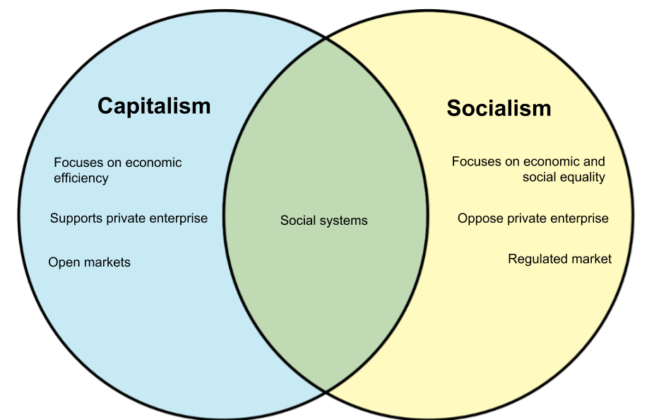 Karl Marx Vs Adam Smith Chart