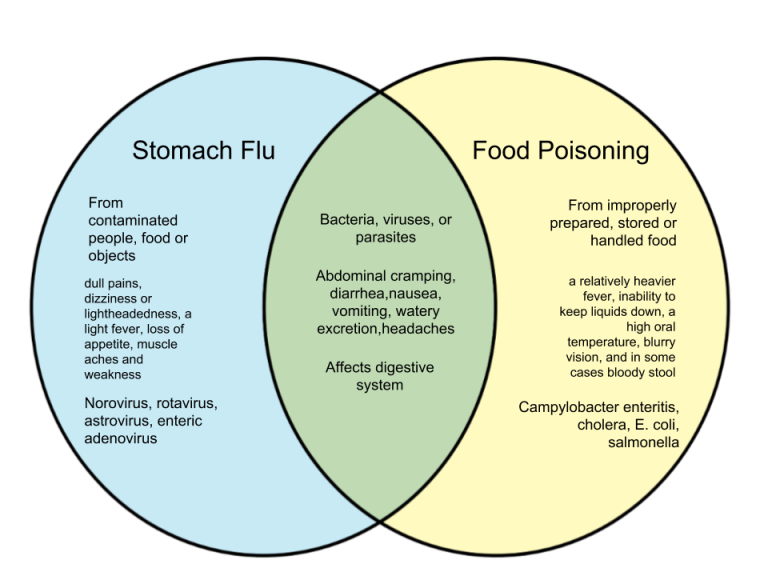 Difference Between Stomach Flu And Food Poisoning 768x576 