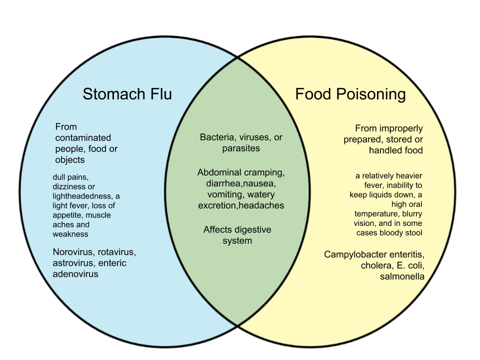 difference-between-stomach-flu-and-food-poisoning-whyunlike-com