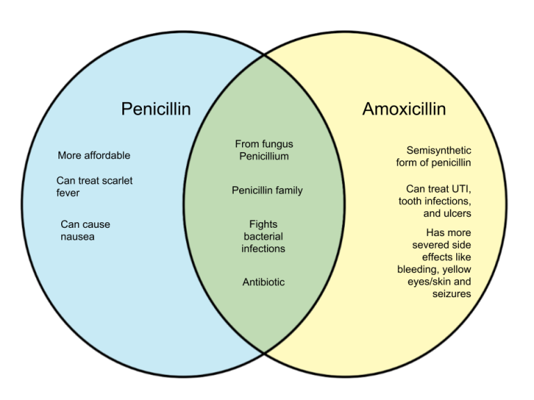 Difference Between Penicillin And Amoxicillin 1 768x576 