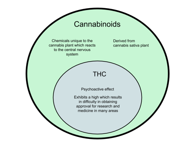 Difference Between Cannabinoids And THC - WHYUNLIKE.COM