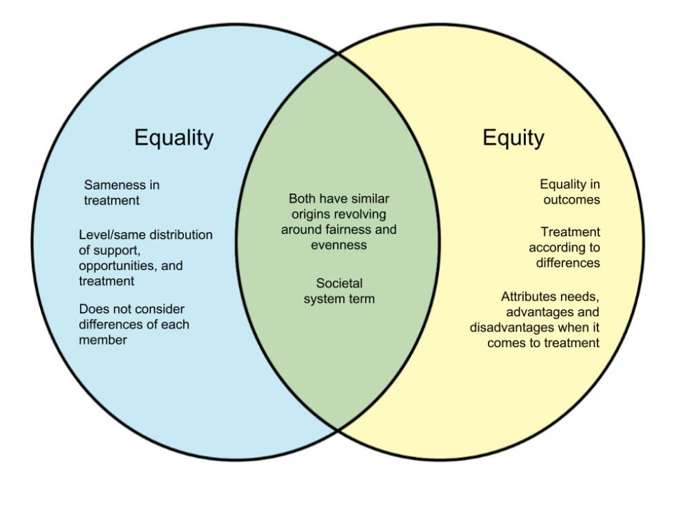 economic equality essay