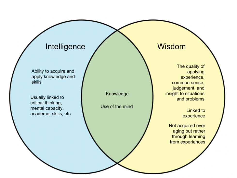 wisdom vs intelligence essay